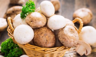 香菇大虾如何做(香菇大虾如何做菜)