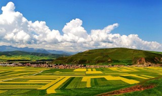 赞美高原句子（形容高原的唯美句子）