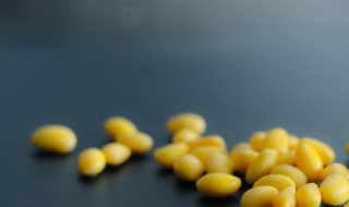 早上困吃什么好 早上困吃什么食物好