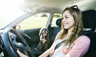 新车车门打不开怎么解决 新车车门打不开怎么解决方法