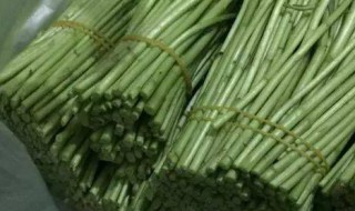 芦篙怎么储存 芦蒿怎么保存