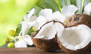 椰青常温保存还是冷藏 椰青储存是常温还是冷藏