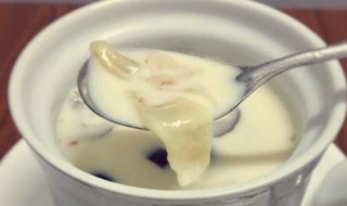 纯牛奶可以直接炖鱼胶吗（鲜牛奶可以炖鱼胶吗）