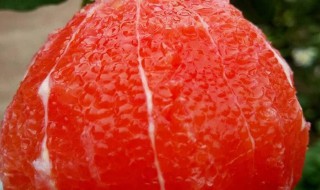 血橙怎么保存才能变红(血橙怎样保存变红)