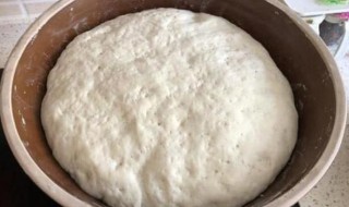 牛奶可以发面蒸馒头吗 牛奶和面蒸馒头可以吗