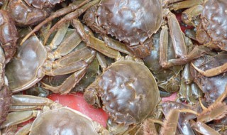 毛蟹怎么储存（毛蟹如何保鲜）