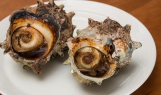 大海螺怎么储存 大海螺怎么储存保鲜