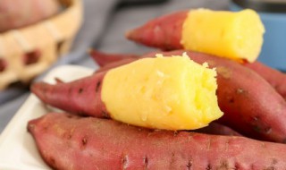 蜜薯怎么储存 蜜薯怎么储存不坏