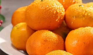 怎么储存蜜桔（蜜桔怎样储存）