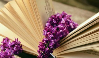 很有诗意的古文句子（很有诗意的古文句子简短）