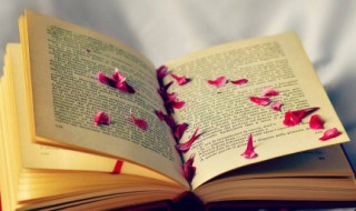 温暖他人的句子（温暖他人的句子简短）