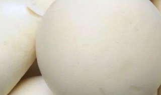 馒头发霉加热还能吃吗（馒头发霉加热还能吃吗为什么）