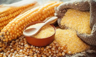 淀粉和碳水化合物的区别（淀粉和碳水化合物的区别在哪里）