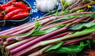 红菜苔皮要不要撕掉（红菜苔皮要不要撕掉吃）