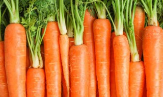 胡萝卜有什么营养价值 煮熟的胡萝卜有什么营养价值