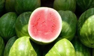 西瓜翠衣制作方法（西瓜翠衣制作方法步骤）