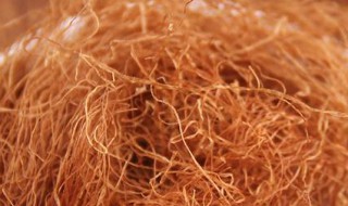 新鲜玉米须的保存方法(新鲜玉米须的保存方法与用量)