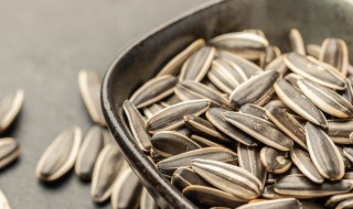 嗑瓜子的经典语录（嗑瓜子的句子）