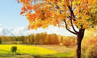 描写秋季句子（描写秋季句子摘抄）