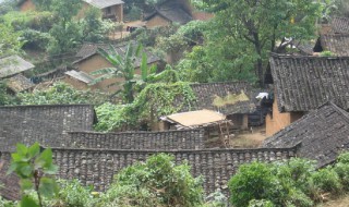 行政村和自然村的区别(行政村和自然村怎么填)