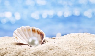 海水珍珠和淡水珍珠的区别（海水珍珠和淡水珍珠哪个贵）