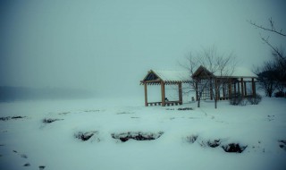 有哪些描写雪景的好句子 关于描写雪景的好句