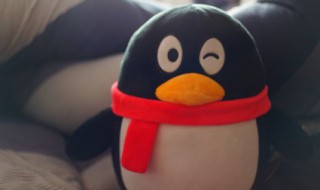 如何填写邮箱地址（如何填写邮箱地址和邮箱号）