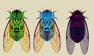 蝉什么时候出来(蝉什么时候出来叫)