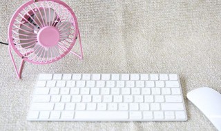 风扇里的灰怎么处理（风扇里的灰怎么清理）