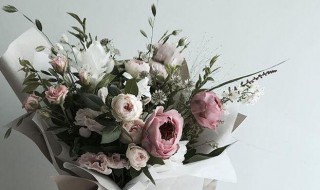 脆朿怎么储存（脆柿子怎么保存）