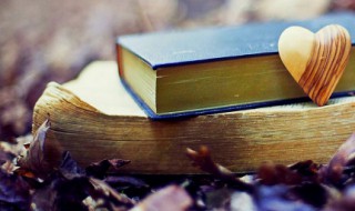 描写同学特点的句子摘抄(描写同学的特点的句子)