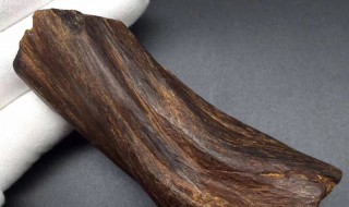 沉香怎么保存(沉香怎么保存香味)