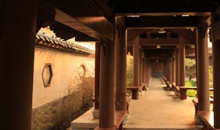 蔷薇木有毒吗(蔷薇木有毒吗有害吗)