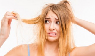 头发属于干垃圾吗（头发属于干垃圾吗?）