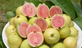 番石榴汁的做法 石榴果汁的做法