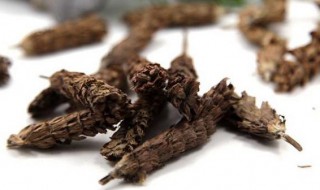 夏枯草和夏枯球的区别 夏枯草和夏枯球的区别与功效