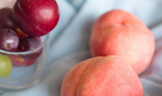 水蜜桃是不是毛桃（水蜜桃是不是毛桃的一种）