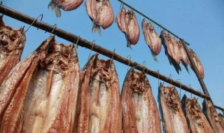 怎么用新鲜鱼做腌鱼（怎么用新鲜鱼做腌鱼仔）