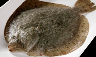 多宝鱼怎么保存 活的多宝鱼怎么保存