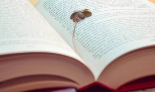 描写雪景的情感句子 描写雪景的情感句子唯美