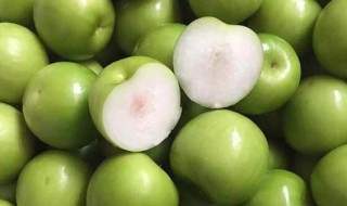 牛奶枣的功效与作用 牛奶枣的功效与作用图片