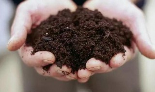 怎么做花肥 在家怎么做花肥