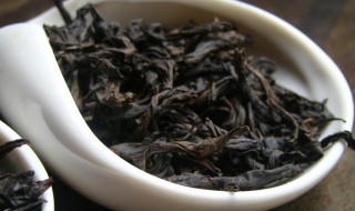 肉桂怎么泡 武夷肉桂怎么泡