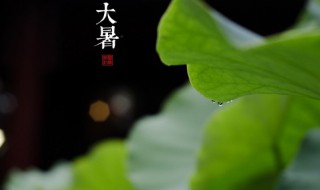 夏至习俗吃什么（夏至节吃什么）