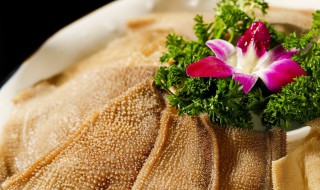 毛肚是牛百叶吗（毛肚是牛百叶吗怎么炒）