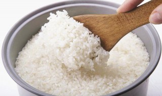 自嗨锅的米饭是什么米（自嗨锅里的米饭是什么米）