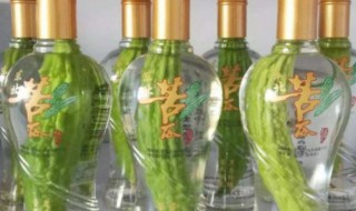 苦瓜酒的苦瓜怎么放进去的 苦瓜酒的苦瓜怎么放进去的视频教程