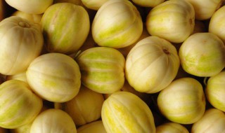 白香瓜里面是绿色的能吃吗 香瓜有白色的吗