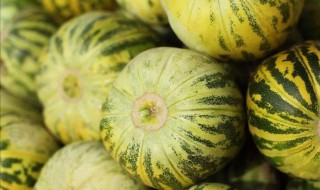 吃香瓜会拉肚子吗（吃香瓜会拉肚子吗为什么）