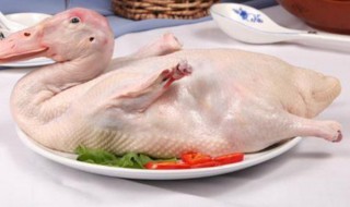 白条鸭是什么鸭（白条鸭是什么鸭图片）